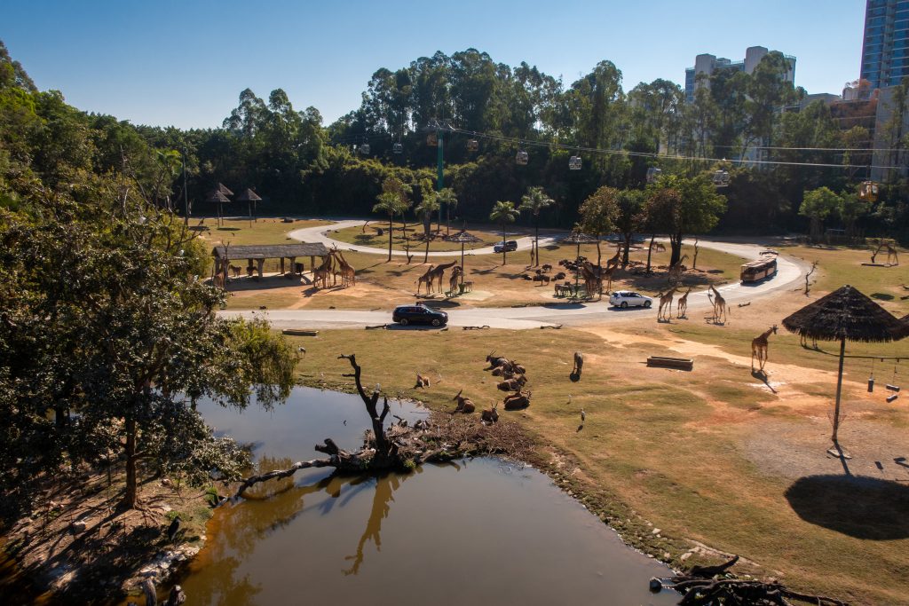 A view of a savanna landscape at Chimelong Amusement Park in Guangzhou, China.
