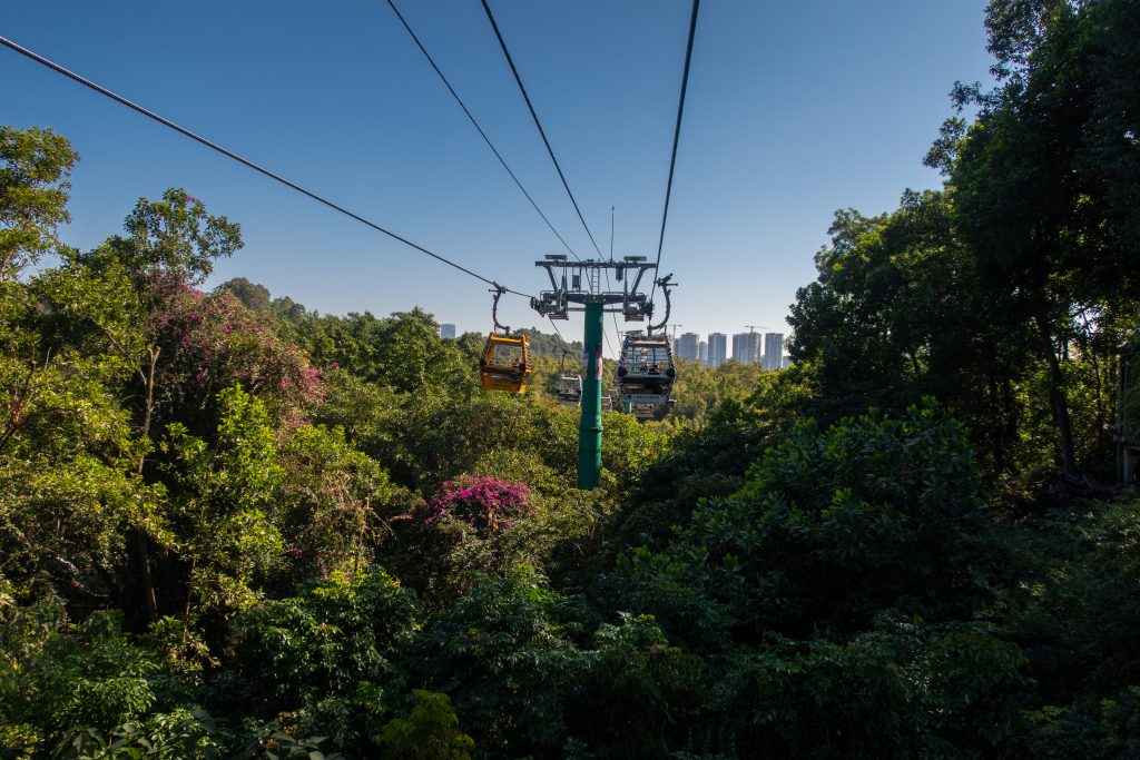 View from the cable car in the Chimelong Safari Park in Guangzhou