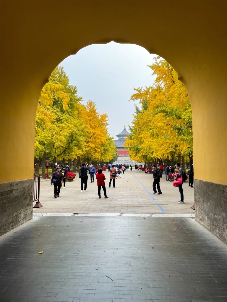 Gate to the Temple of Heaven in Beijing with yellow trees in autumn.